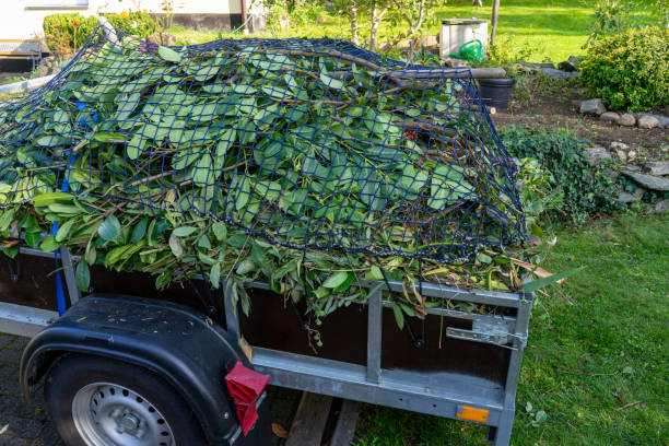 Best Estate Cleanout  in Hackettstown, NJ